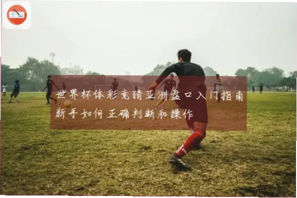 体彩竞猜有哪些常见玩法?新手入门指南