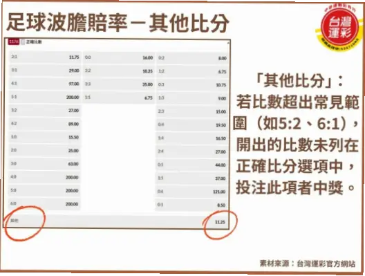 波胆赔率网站赔率计算方式详解
